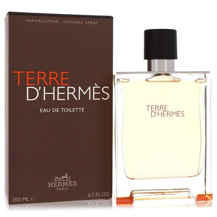 Terre D'Hermes by Hermes Eau De Toilette Spray 6.7 oz (Men).